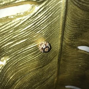 Pandora rose gold charm